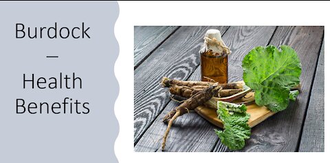 Burdock Health Benefits