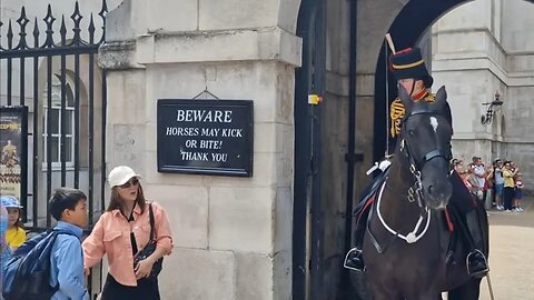 Stand back from the kings lifeguard tourist shouted at changing of the guard #horseguardsparade