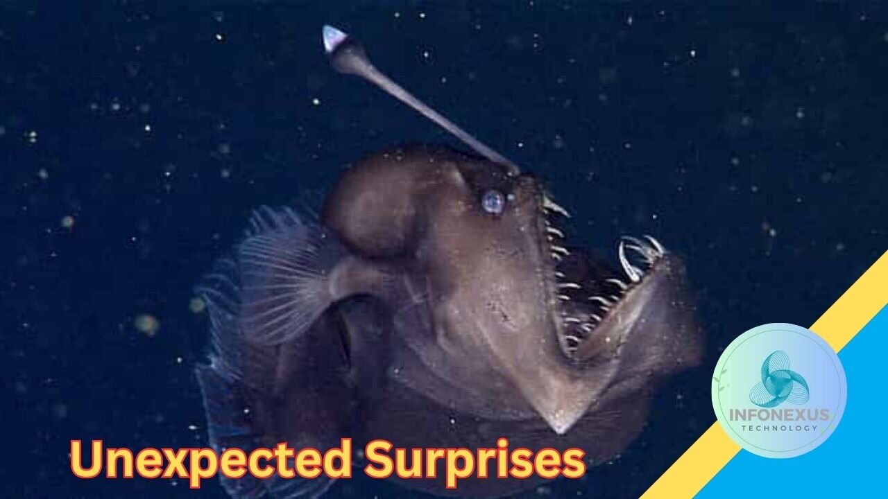 "14 Sea Creatures: Enchanting Encounters and Unexpected Surprises"