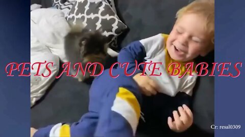 CUTE BABIES AND PETS