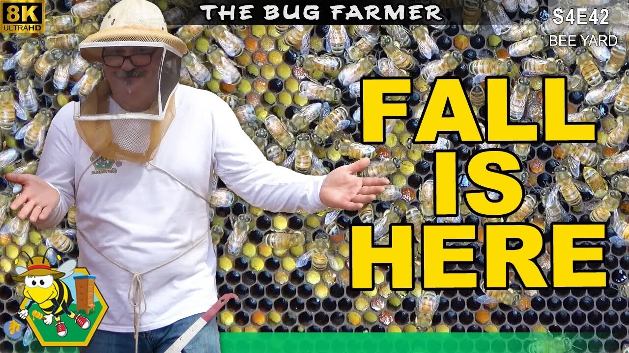 The Fall Fix | Saw mistakes in the edit and went back to correct. #bees #beekeeping