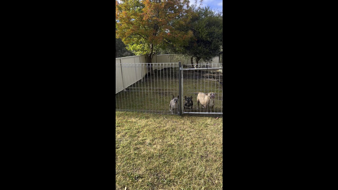 Some of the tribe out enjoying this beautiful weather 😍