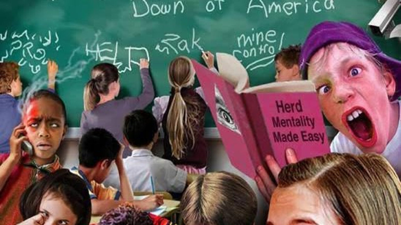 👩🏼‍🏫 The Deliberate Dumbing Down of America - It All Starts With the Kids