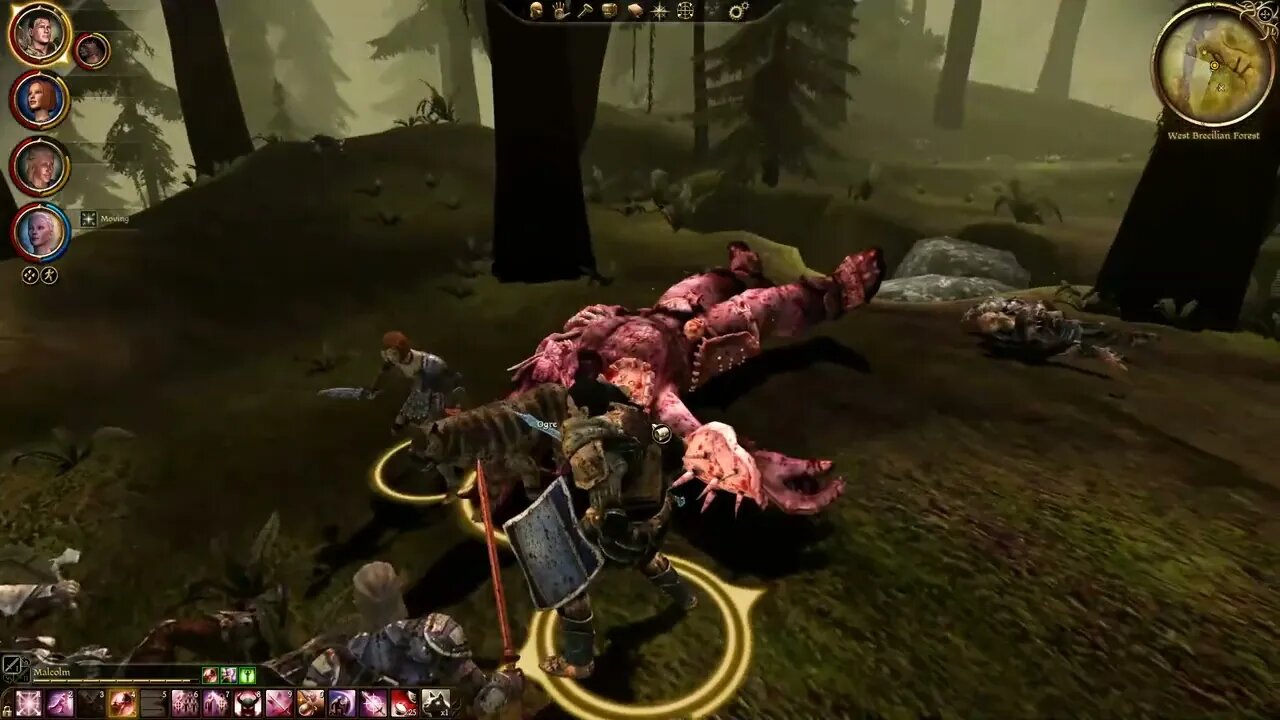 Dragon Age Origins - Leliana's action kill