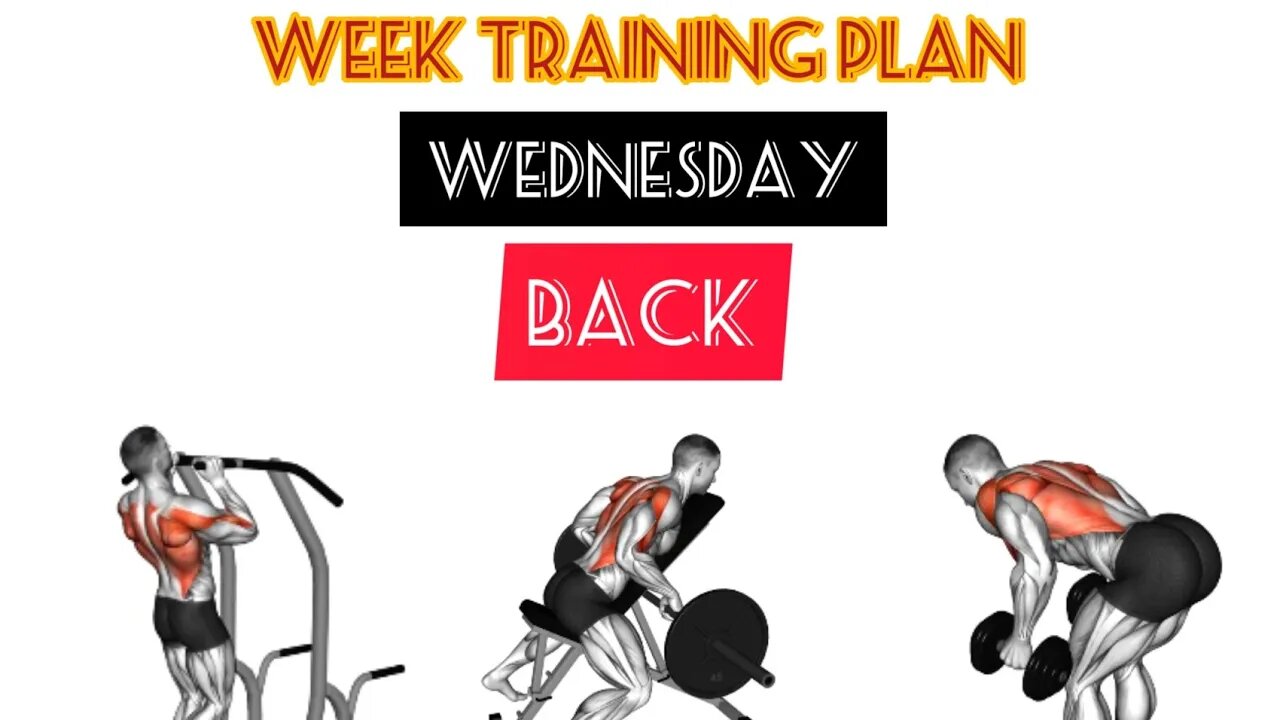 Week training plan: Wednesday-Back