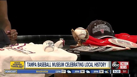 Tampa Baseball Museum's family fun event planned