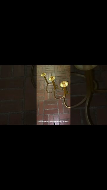 Mary & Martha: advent candle holder