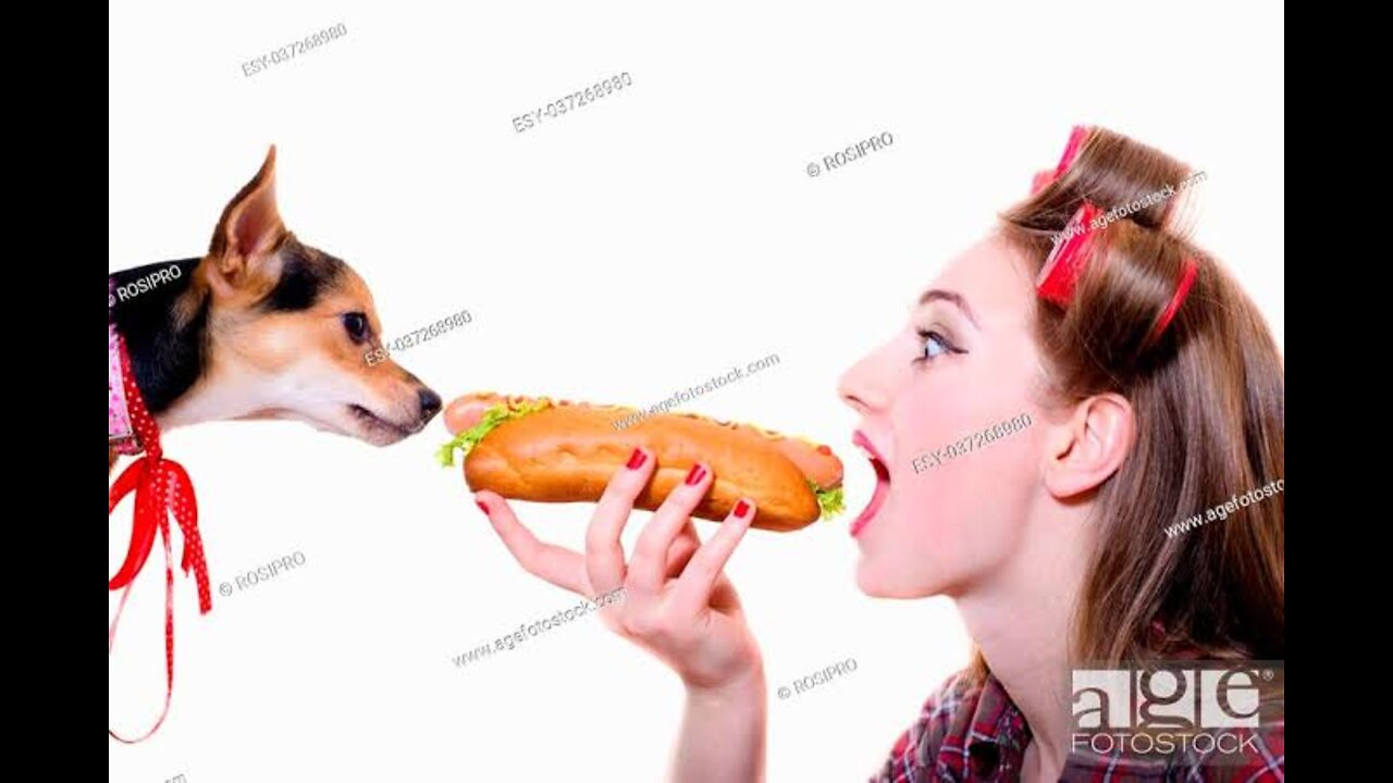 Hot girl with dog