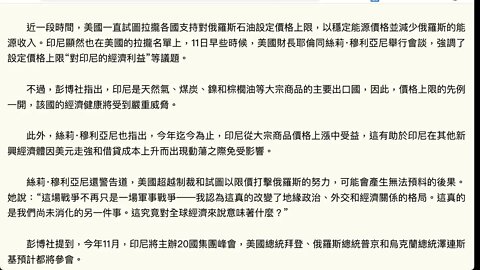 印尼財長：沙特和歐佩克決定減產，是為了阻止美國開創限價先例