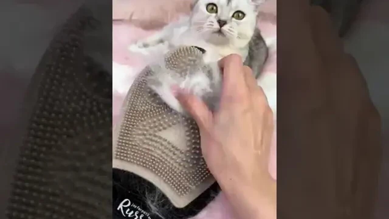 New slippers made from my cats 😂