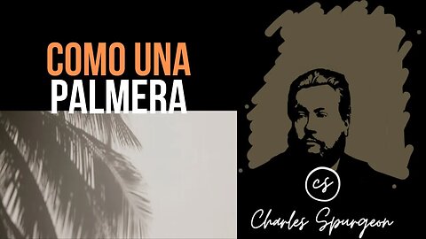 Como una palmera (Salmo 92:12) Devocional de hoy Charles Spurgeon