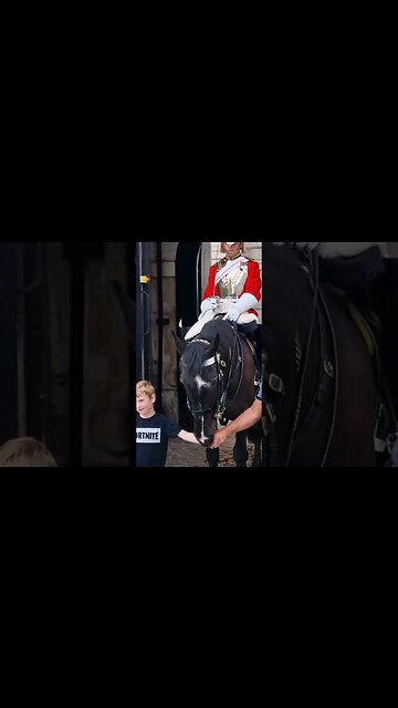 You can't hold hands #horseguardsparade