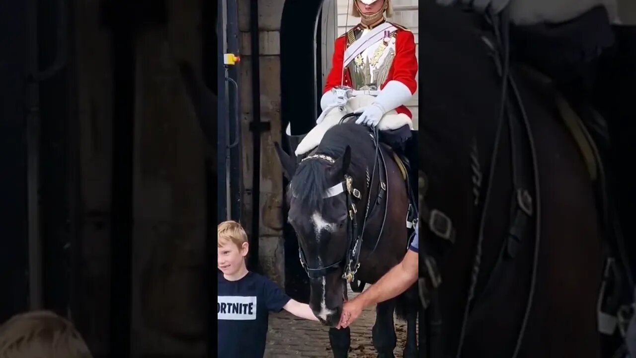You can't hold hands #horseguardsparade