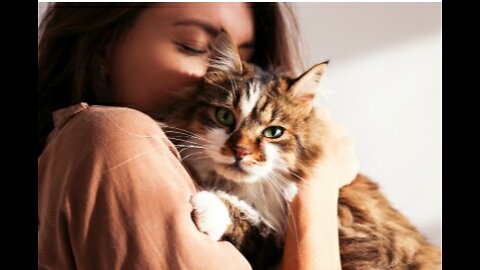 10 Scientific Ways to Get a Cat to Like You