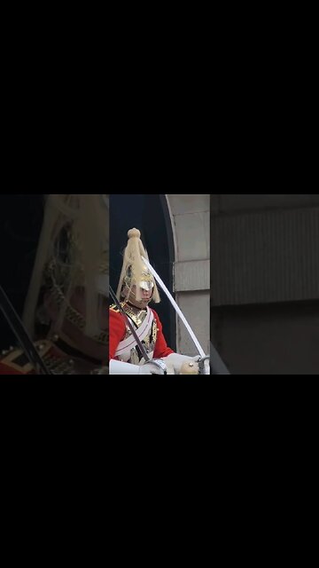 Combing Your hair with a sword #horseguardsparade