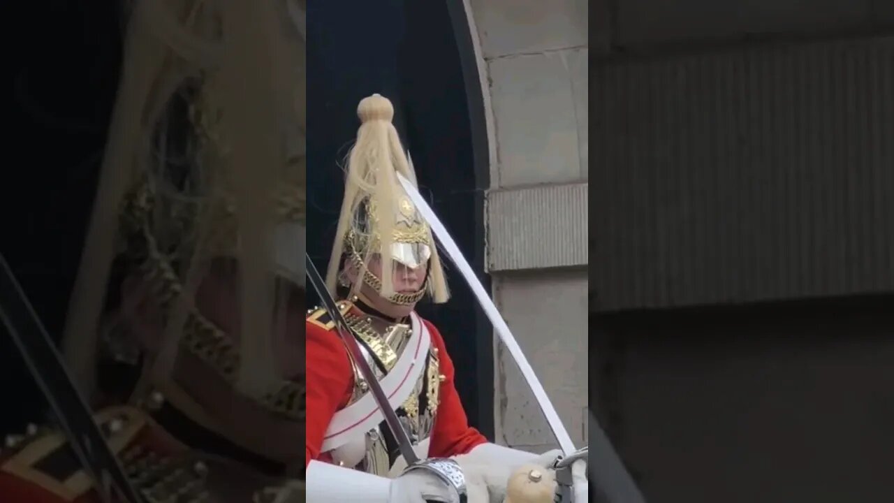 Combing Your hair with a sword #horseguardsparade