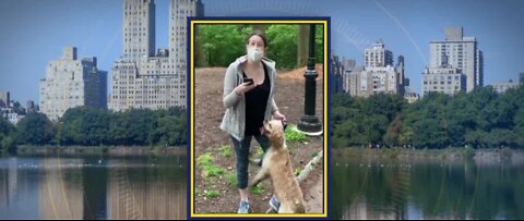 Viral Central Park confrontation