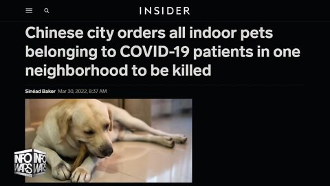 Chinese City Orders Pets Of Covid Patients Killed