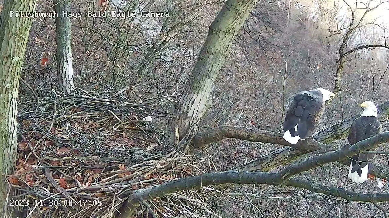 Hays Eagles M and V mate on the escalator! 11-30-2023 8:47am