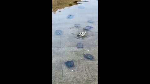 United we are strong