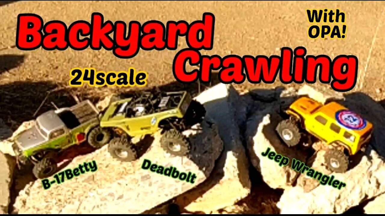 Backyard Crawling 24scale with OPA