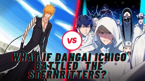 WHAT IF DANGAI ICHIGO BATTLED THE STERNRITTERS?