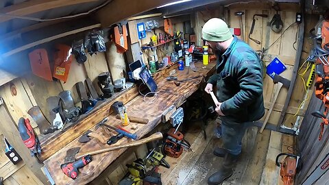 Live in saw shed