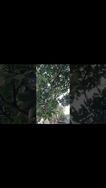 This is your sign to touch the grass this weekend! 🌴🌳🏝️🏕️