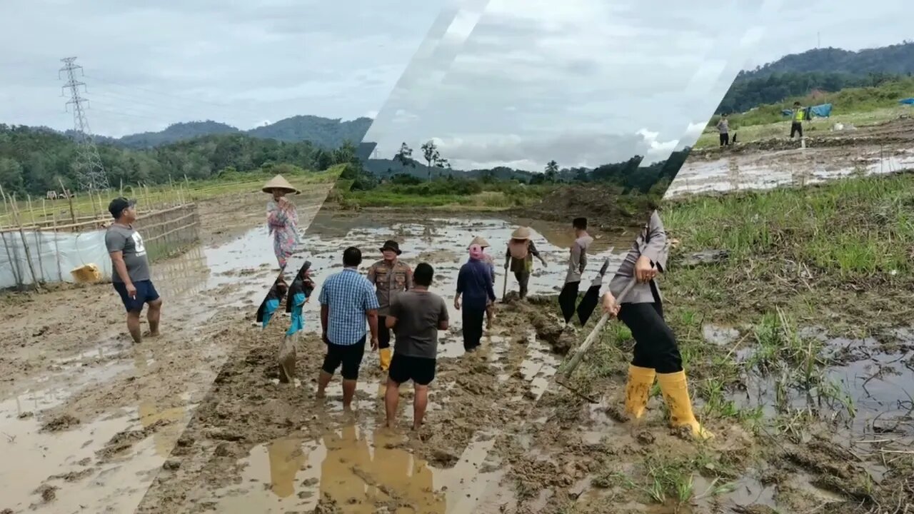 Kapolres Merangin Edukasi Masyarakat Untuk Merevitalisasi Lahan Bekas Peti Jadi Lahan Pertanian