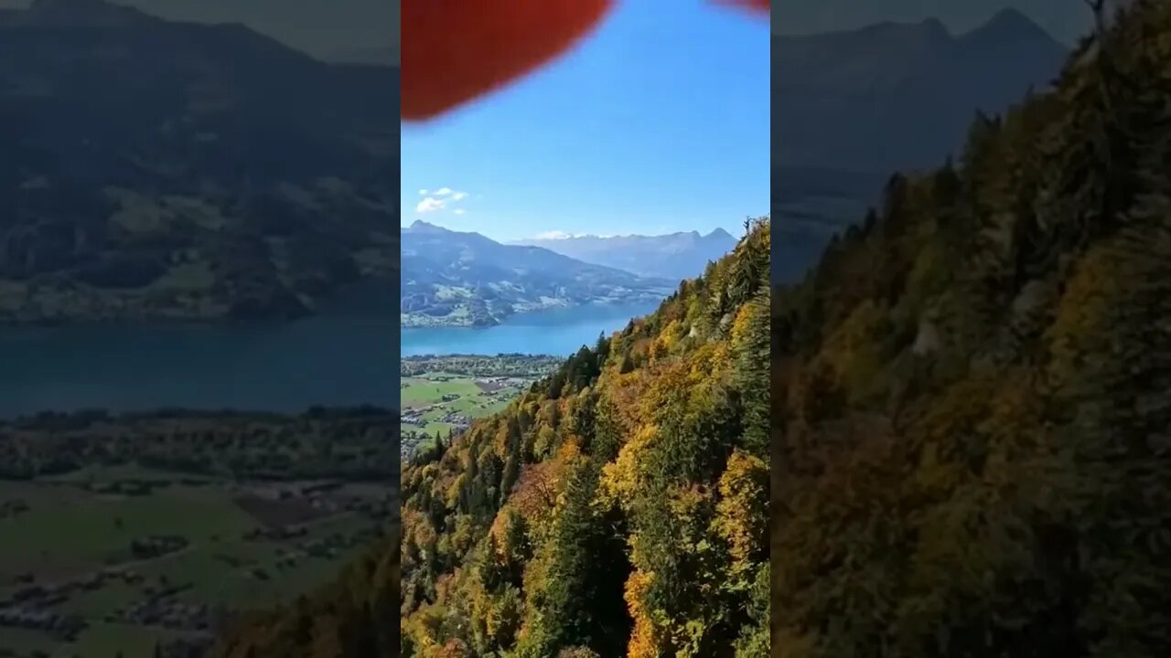 Flying close to the tree tops while paragliding in Switzerland!