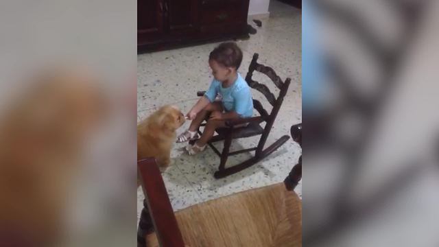 "Tot Girl Shares Her Lollipop with Her Dog"