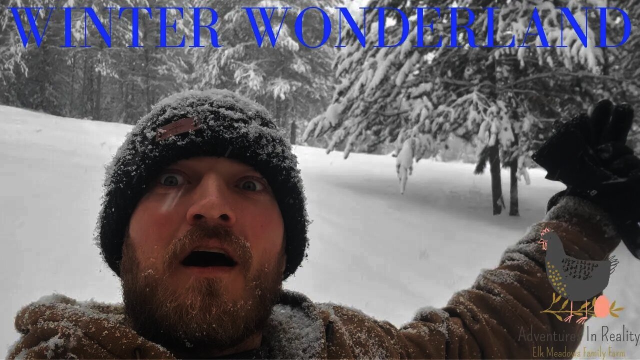 WINTER WONDERLAND | Adventures In Reality