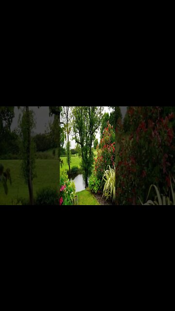 music - Vibes Esteban Orlando #shorts #short #shortvideo #shortsvideo #music