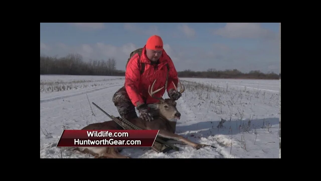 Rifle Deer hunt in Northern MN