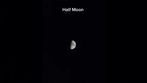 Half Moon - Nửa Vầng Trăng Đàm Vĩnh Hưng - GreenMangoes #viral #damvinhhung #nhactre #shorts