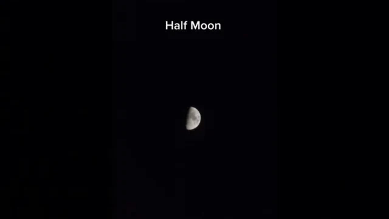 Half Moon - Nửa Vầng Trăng Đàm Vĩnh Hưng - GreenMangoes #viral #damvinhhung #nhactre #shorts
