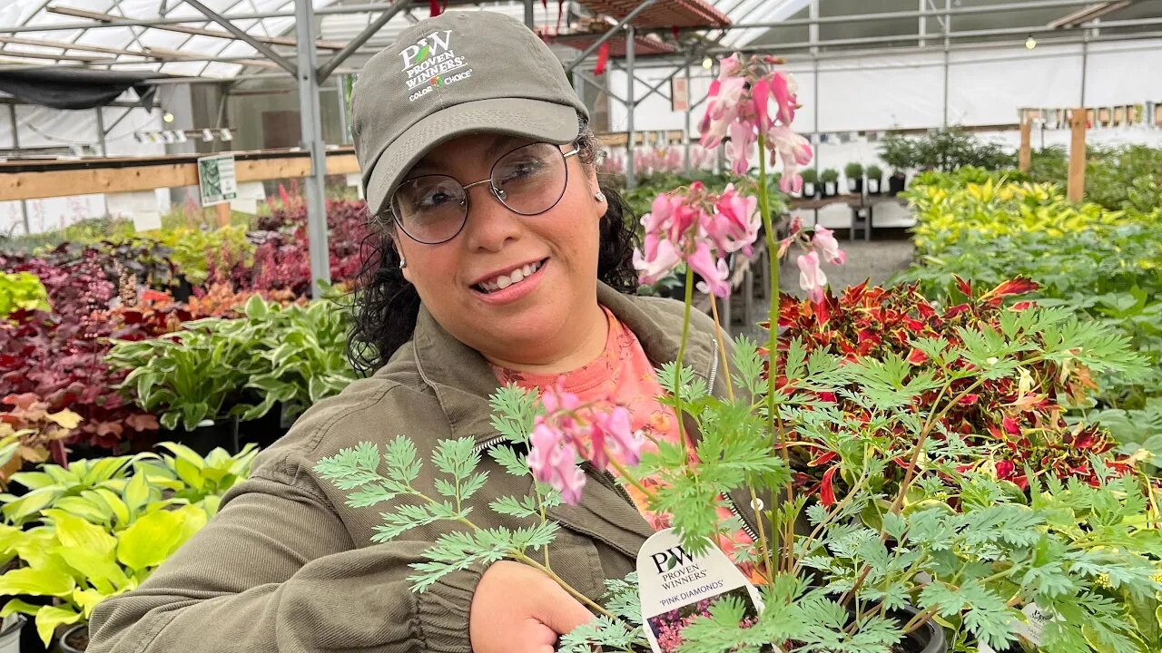 We weren't supposed to go out but, We ended up at the Garden Center