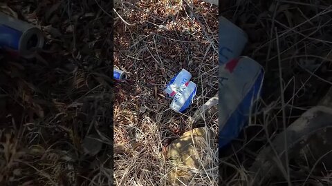 This Is Why We Can’t Have Nice Things
