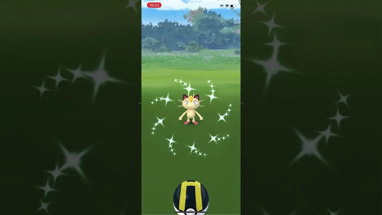 Shiny Compilation