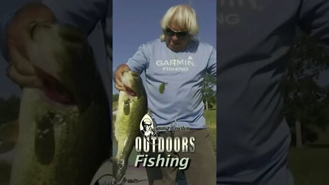 5lber in the Pads