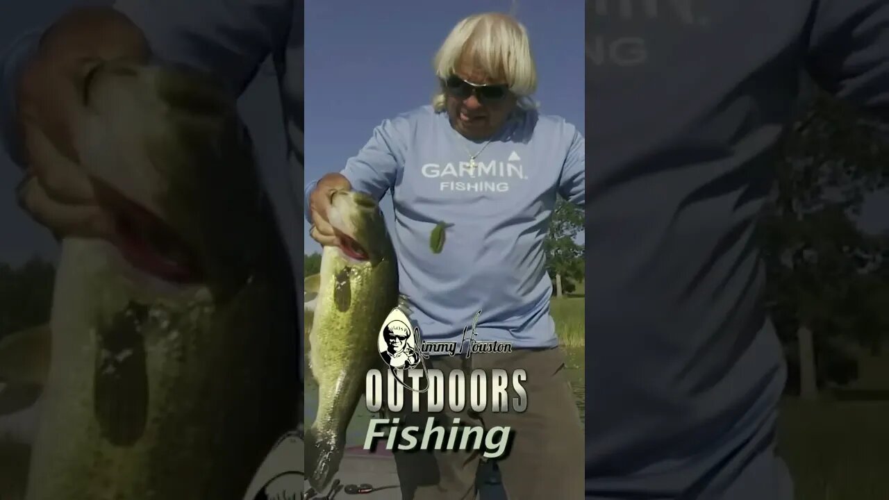 5lber in the Pads