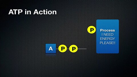 003 What ATP is and How it Works