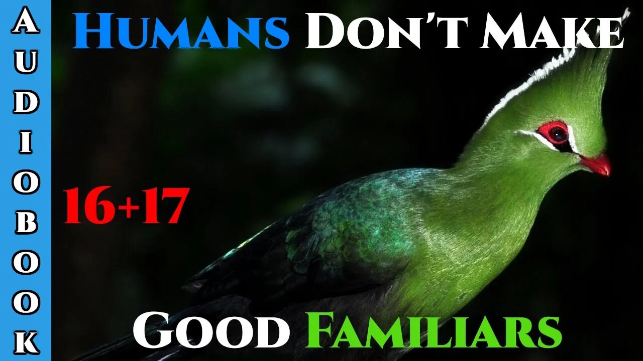 Humans Don't make Good Familiars (Ongoing) - Ch.16+17 | HFY | Fantasy