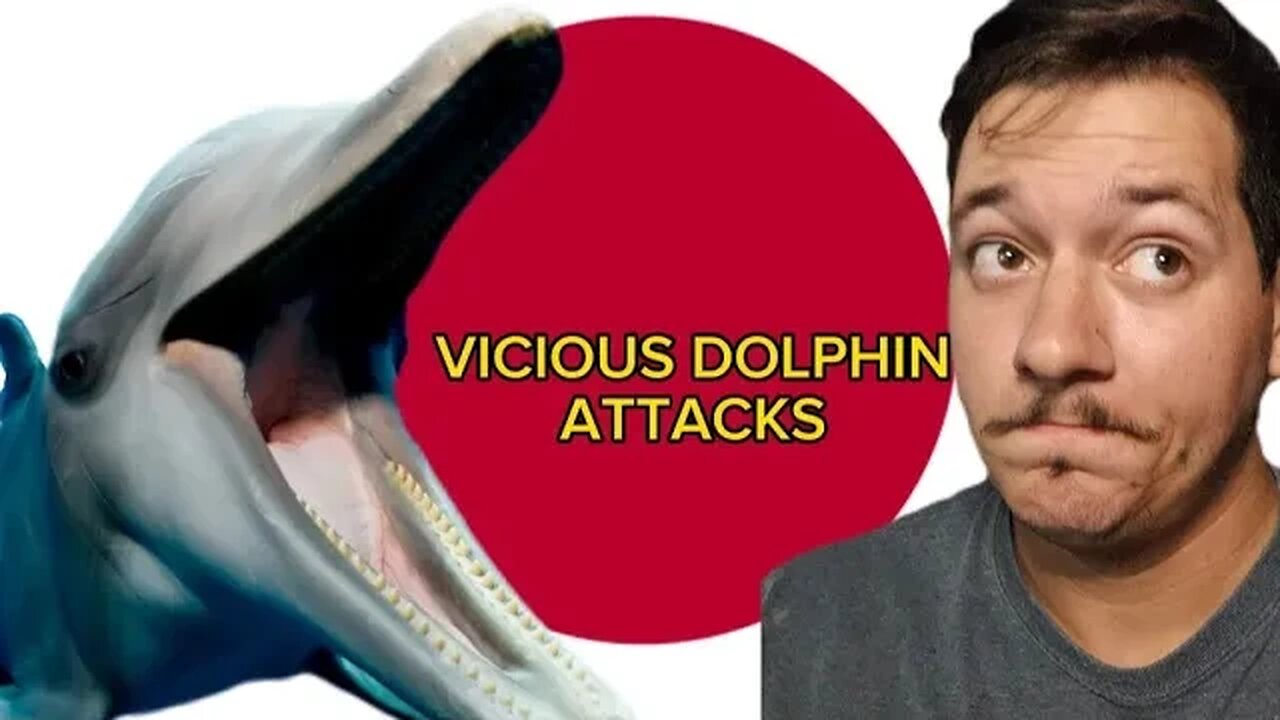 Vicious Dolphin Attack Leaves Multiple Wounded in Japan