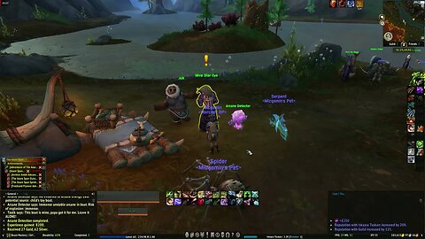 World of Warcraft Dragonflight Arcane Detection