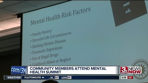 Community members attend mental health summit