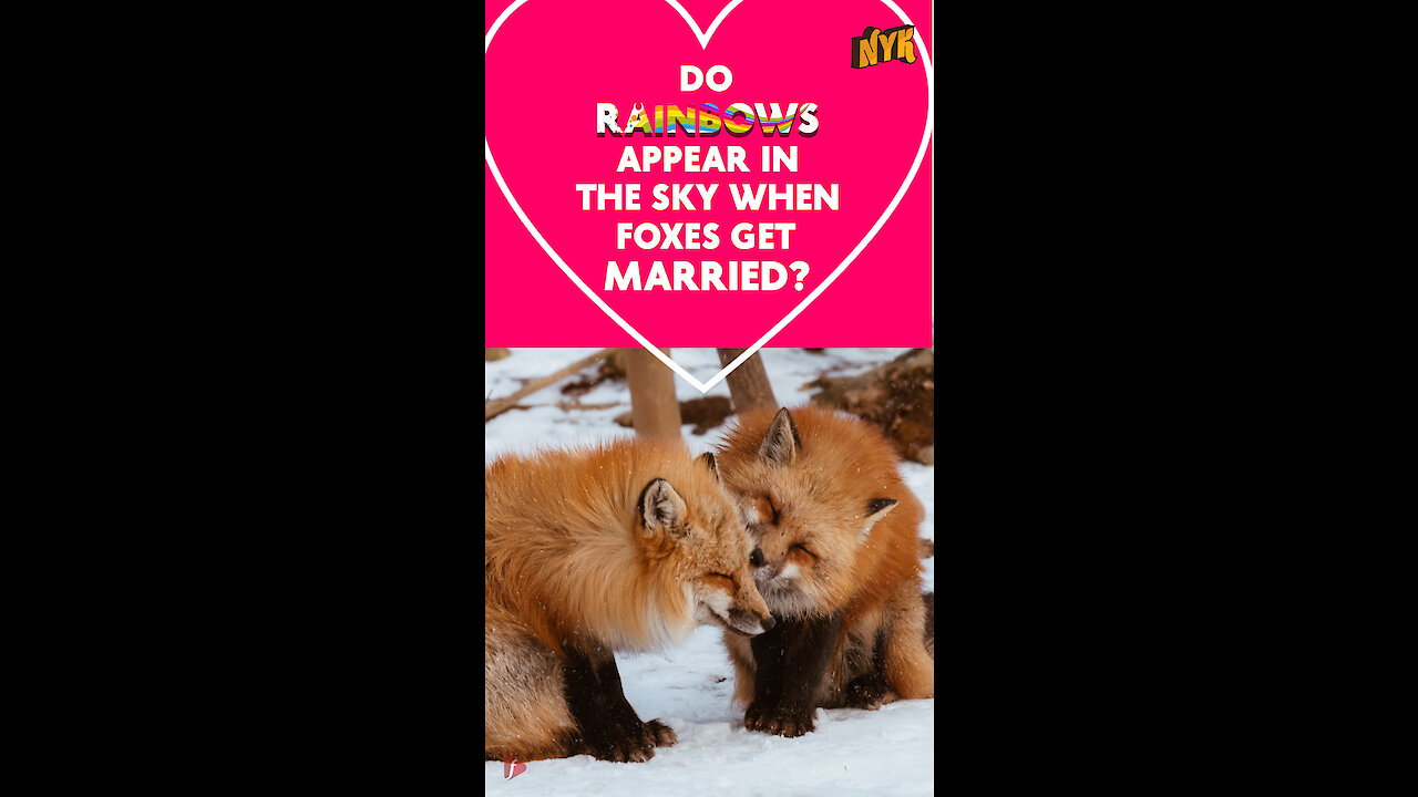 Do rainbows appear in the sky when foxes get married? *