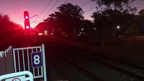 NSW Trains Vlogs 36 leightonfield