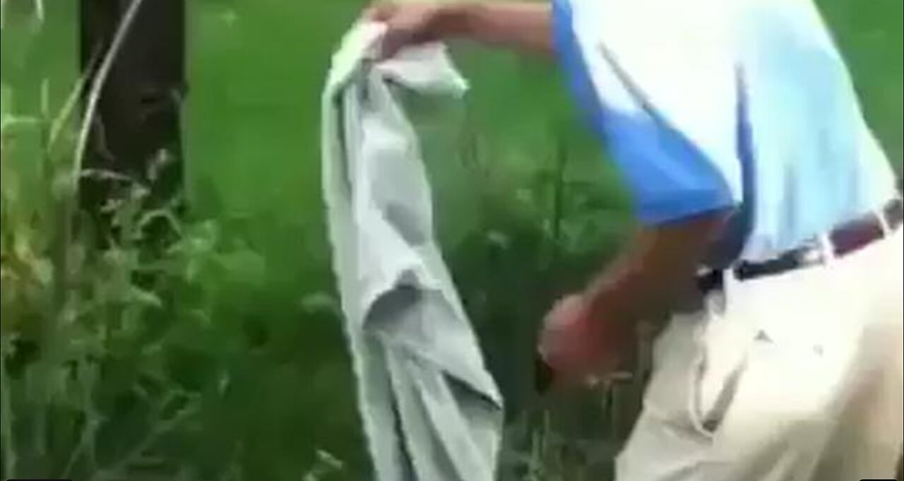 OLD DUMMY TRIES TO BE A HERO WITH AN ALLIGATOR