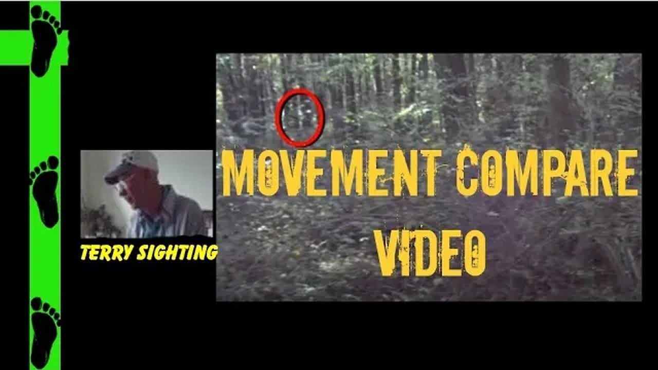 Movement Compare | Movement Caught During Investigation | Bigfoot